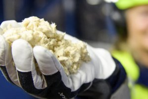 Rottneros: Strata za pierwszy kwartał 2024r.