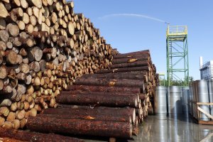 Czy będzie przełom w rozmowach o lasach? 