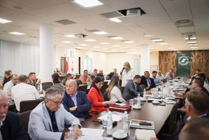 Powstanie międzyresortowy zespół ds. ograniczenia eksportu surowca drzewnego?