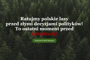 Zautomatyzowane konsultacje społeczne? Tak wygląda spór o rolę lasów