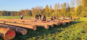 Kurs brakarzy drewna okrągłego