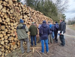 Kurs brakarzy drewna okrągłego