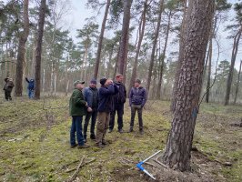 Kurs brakarzy drewna okrągłego