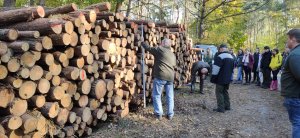 Kurs brakarzy drewna okrągłego