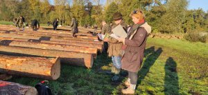 Kurs brakarzy drewna okrągłego