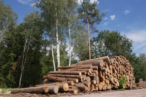 Niemcy: Rząd Badenii-Wirtembergii przegrał z tartakami. Kwota odszkodowań może sięgnąć setek milionów euro