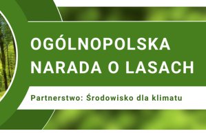 Sektor leśno-drzewny oczekuje zmiany harmonogramu prac Ogólnopolskiej Narady o Lasach