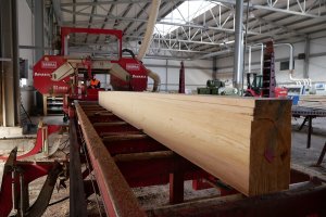 PIGPD: Stracimy miliardy, a polskie firmy przerabiające drewno upadną
