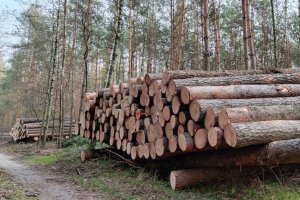 PIGPD: Modyfikacja Warunków Technicznych jest szkodliwa i cenotwórcza