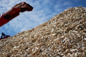 Stanowisko Stowarzyszenia Producentów Płyt Drewnopochodnych w sprawie definicji drewna energetycznego