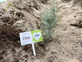 Od 25 lat z pasją tworzymy codzienność 