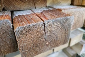 List otwarty Koalicji na Rzecz Polskiego Drewna do wiceministra Mikołaja Dorożały