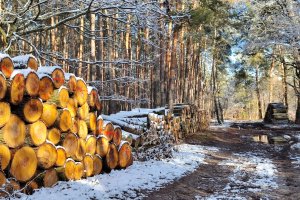 Głupota, sabotaż gospodarczy czy może to – o zgrozo – przejaw wojny hybrydowej przeciw Polsce?