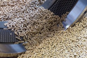 Rozporządzenie o jakości paliw z biomasy drzewnej - Subiektywne spojrzenie