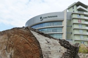 Zatrzymano byłych dyrektorów Lasów Państwowych