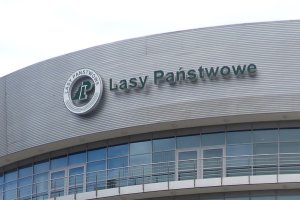 Zarzuty dla trzech byłych dyrektorów Lasów Państwowych