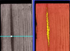 Nowa technologia wykrywania żywicy w drewnie - rozwiązanie od polskich naukowców