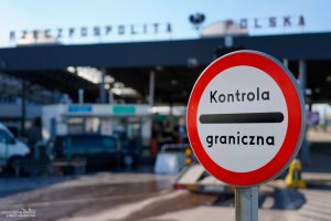 Polskie służby celne blokują wjazd ukraińskich wyrobów z drewna do UE