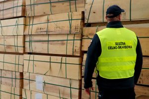 KAS zabezpieczyła transport sklejki brzozowej o wartości ponad 1 mln zł