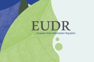 Komisja Europejska przedstawiła nowe wytyczne dotyczące EUDR 