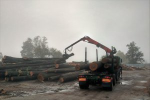 Klon: Spadek sprzedaży i strata za pierwszy kwartał 2025