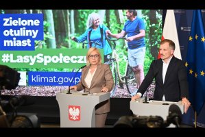 Lasy społeczne - Pilotażowy projekt objął 158 tys. ha lasów