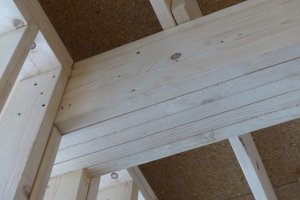 WG Partners: Ujemny kapitał i zarzuty wobec poprzedniego zarządu