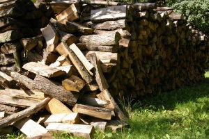 Parametry różnych paliw stałych