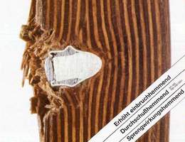 Producent sklejki - Delignit zadebiutuje na giełdzie