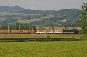 Jedzie drewno z wiatrołomów