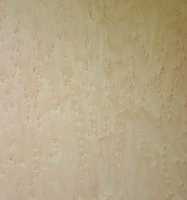 28.000 euro za kłodę jaworu