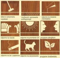 Co powinniśmy wiedzieć o panelach?