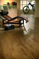 Country Style Super Dąb Cavallo