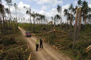 N. Przedbórz: 250 tys. m3 wiatrołomów