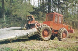 LKT 81