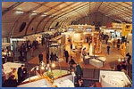 Murator Expo