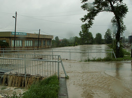 fot. J. Maroń