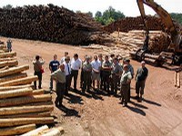 Spotkanie leśników i drzewiarzy