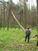 Kurs Przedsiębiorczości Leśnej