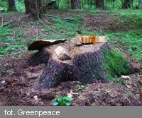 Obwodnica (nie)zgody