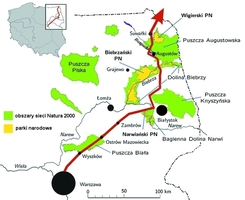 <b><center><small><font color=darkred>Projektowany przebieg<br> Via Baltica (mapa)<br></b>(Fot. Greenpeace)</font></small></center>