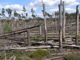 O klęskach żywiołowych w lasach na konferencji
