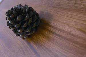 Podłogi drewniane Royal Floor Jatoba