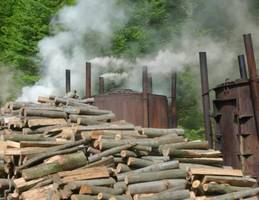 Tartaki będą walczyć o swój byt