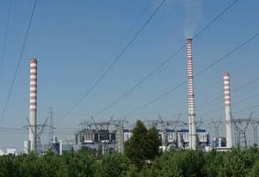 Zespół Elektrowni Dolna Odra zainwestuje w biomasę