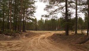 CentroWoodKom rozpoczyna pozyskanie drewna