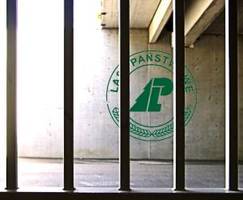 CBA zatrzymało byłego Dyrektora Generalnego i Głównego Analityka Lasów Państwowych