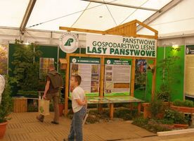 Stoisko Lasów Państwowych w namiocie wystawowym