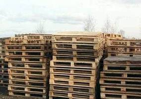 Niemieccy spedytorzy chcą wprowadzenia opłat za palety