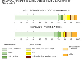 Struktura i powierzchnia lasów